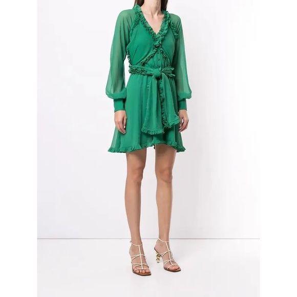 ALEXIS Ruffle-Trimmed Mini Dress - Green Size S $595 - Picture 3 of 12